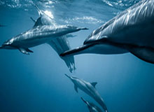 赵嘉仁训练视频日常片段： 接球出手细节，接球余光观察